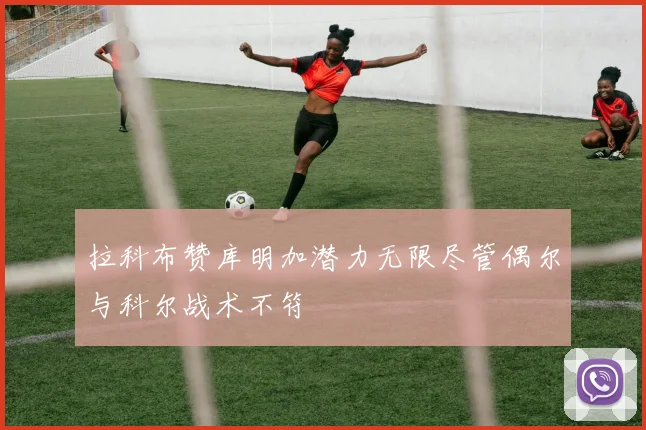 拉科布赞库明加潜力无限尽管偶尔与科尔战术不符