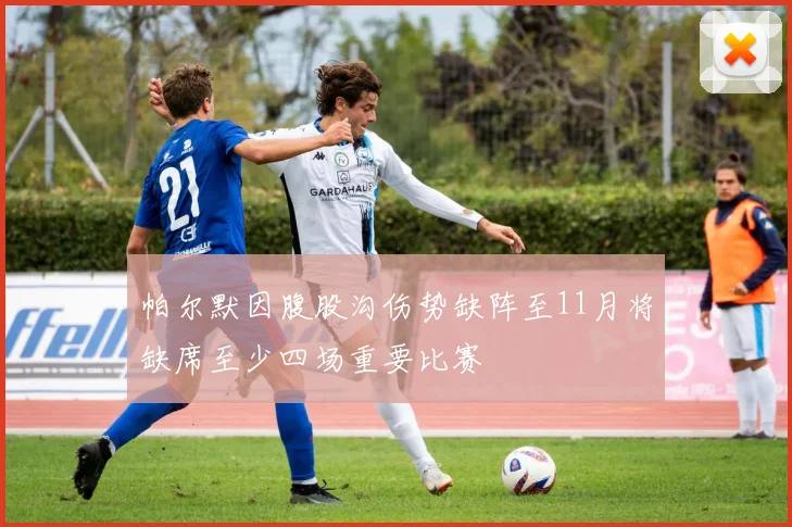 帕尔默因腹股沟伤势缺阵至11月将缺席至少四场重要比赛